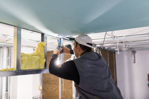 Best Insulation Maintenance and Repair in Hauppauge, NY